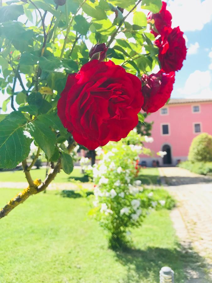 Vila Antico Borgo De Romolini Sansepolcro Exteriér fotografie